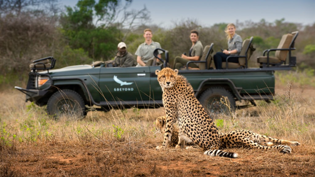 Melhores Safaris na África do Sul - 7 Roteiros que Valem a Pena - Xtravel