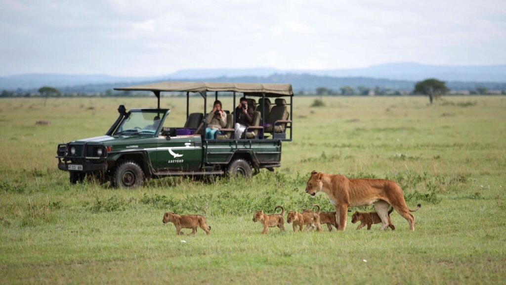 Parque Nacional de Serengeti - Xtravel