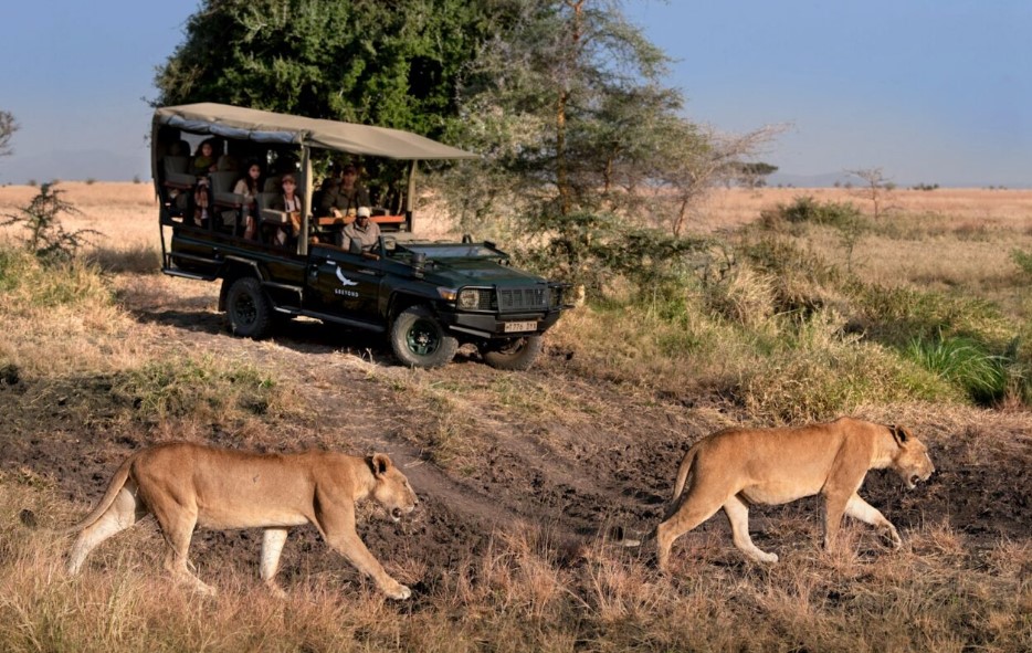 Safári no Serengeti - Xtravel