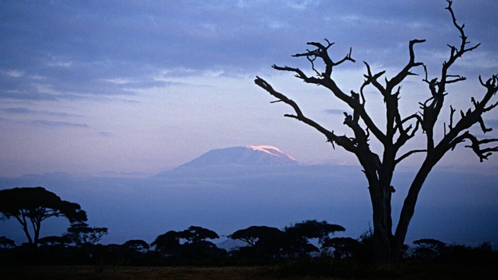 Monte Kilimanjaro em uma caminhada ao pôr do sol - Xtravel