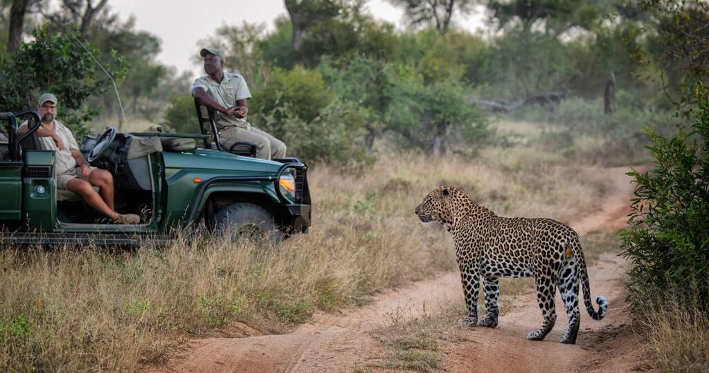 safári na África do Sul - Xtravel