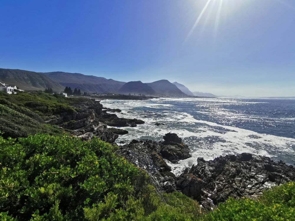 safári Cape Town - Xtravel