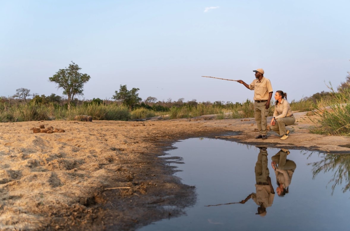 safári na África do Sul - Xtravel