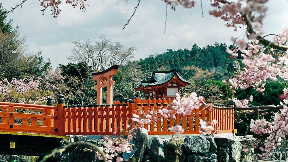 o que fazer em Osaka - Xtravel