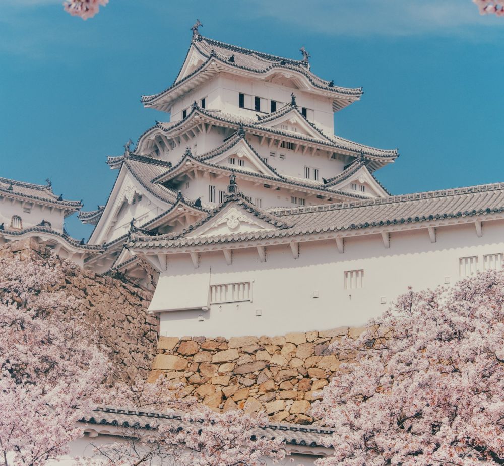 onde ver sakura no Japão - Xtravel