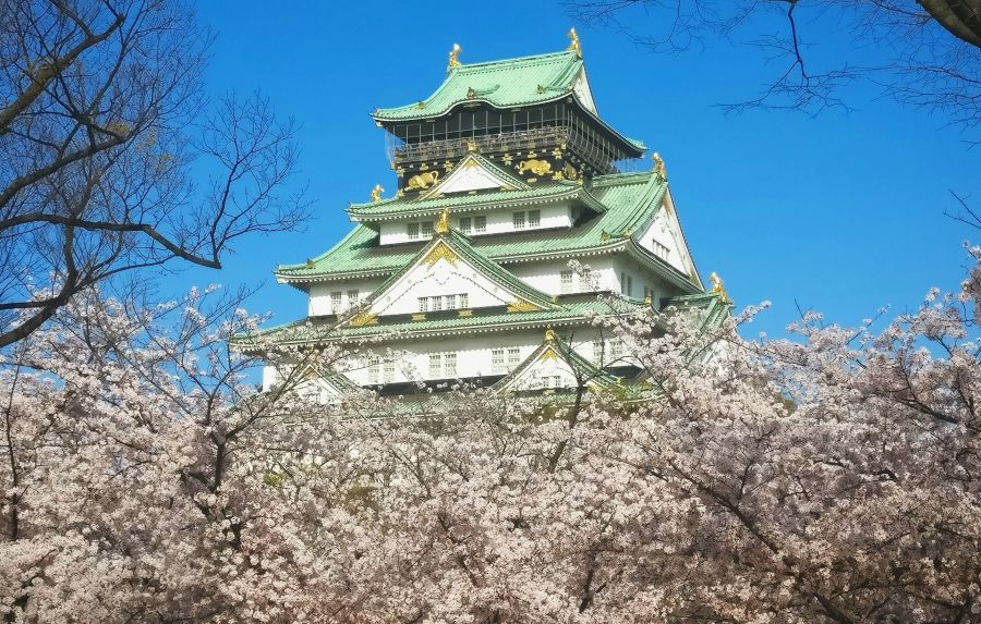 onde ver sakura no Japão - Xtravel