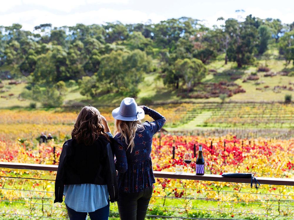 vinícolas na Austrália - Xtravel