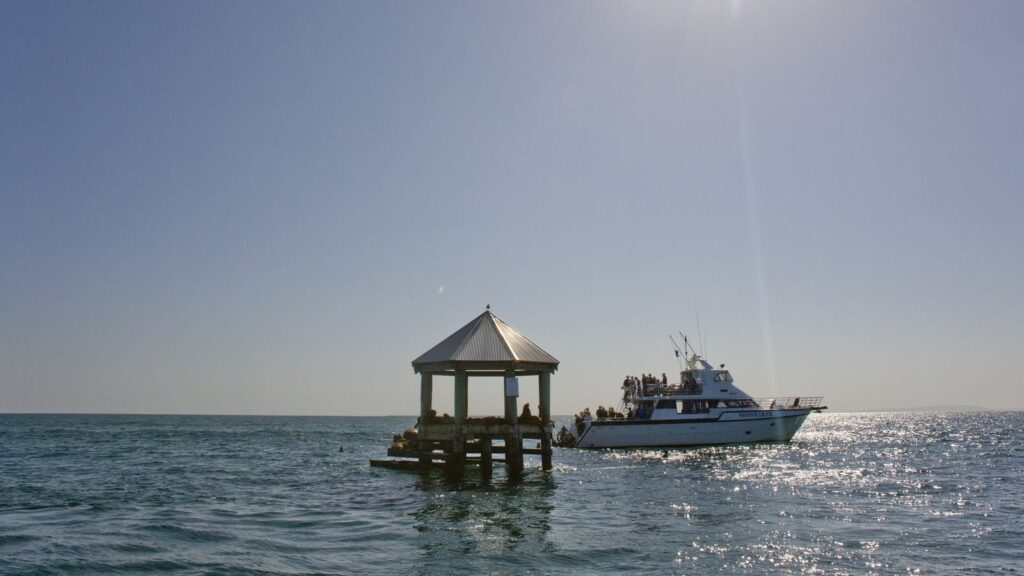 o que fazer Melbourne - Xtravel