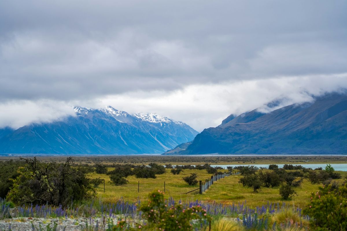 Ilha sul Nova Zelândia - Xtravel