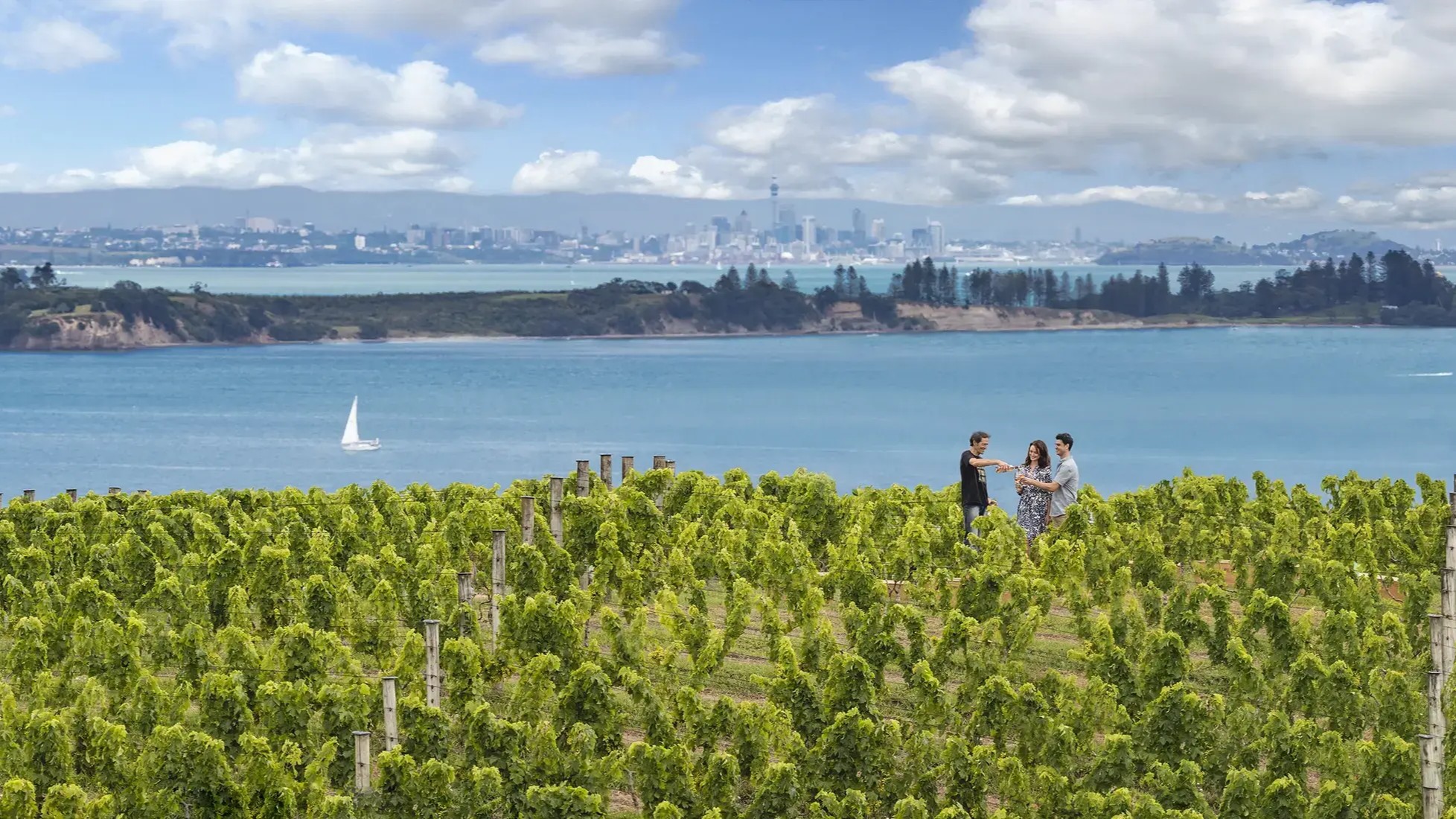 o que fazer em Auckland - Xtravel