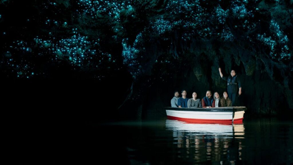 Ilha Norte Nova Zelândia - Xtravel