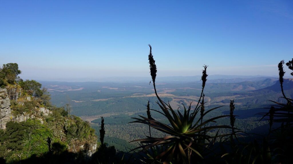 Garden Route África do Sul - Xtravel