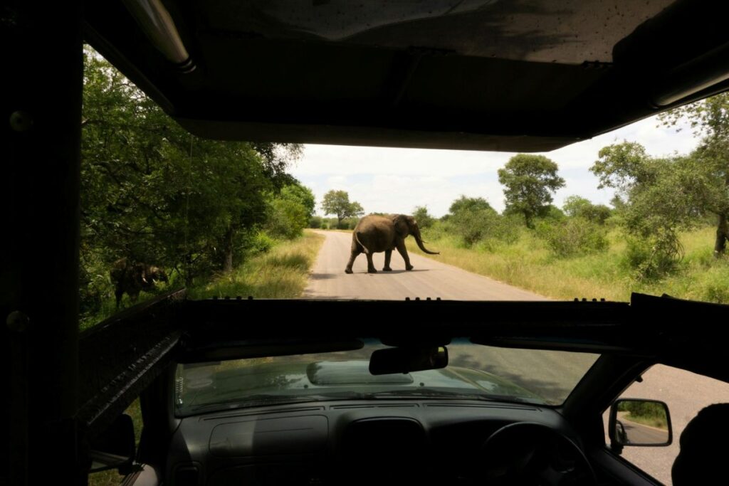 kruger national park - Xtravel