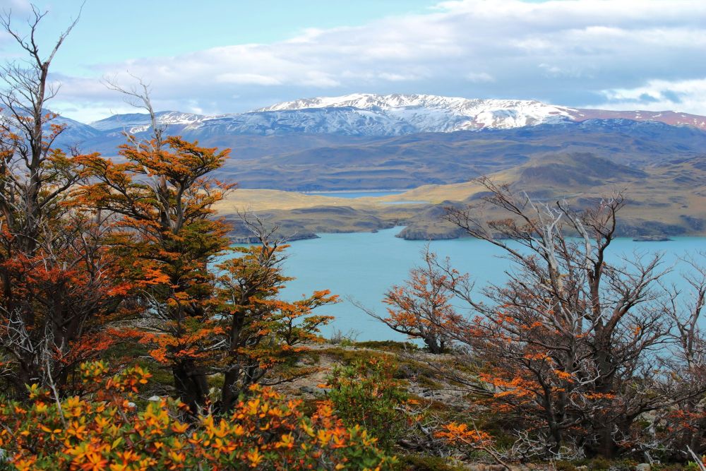 como é o clima na Patagônia Chilena - Xtravel