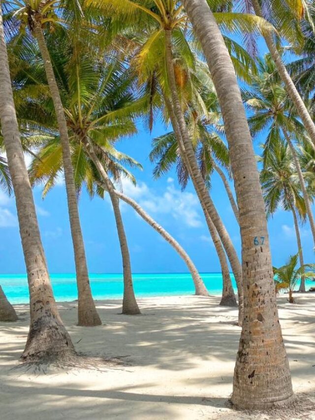 Maldivas ou Bora Bora - Xtravel