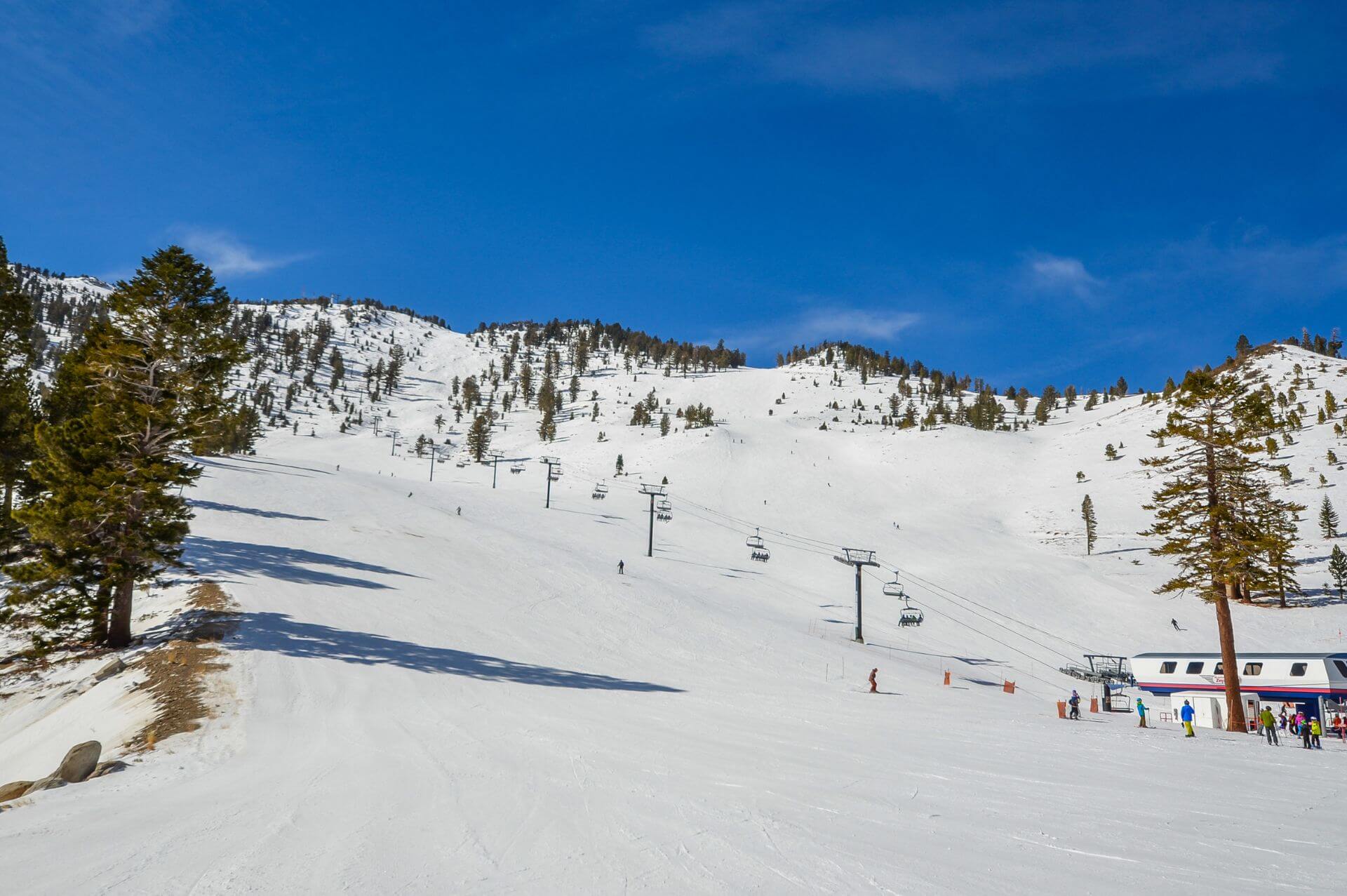 Os Estados Unidos reúnem alguns dos melhores destinos para praticar ski no mundo. Viaje com a nossa agência para viver dias emocionantes e sofisticados nas montanhas e seus charmosos arredores.