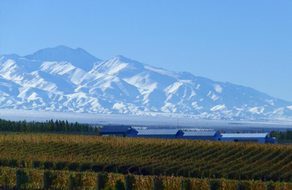 Roteiro Mendoza 5 Dias - O Que Fazer e Onde Se Hospedar | Xtravel