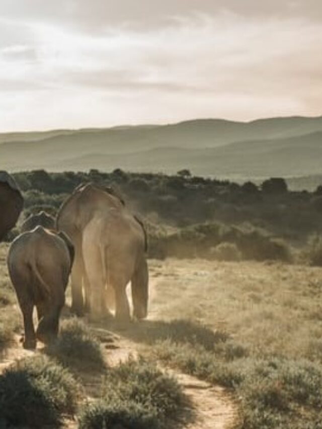 cidades da África do Sul - Xtravel