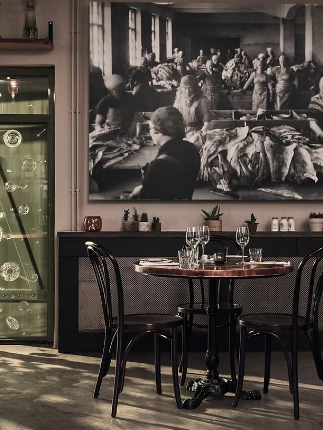 tour gastronômico Islândia - Xtravel