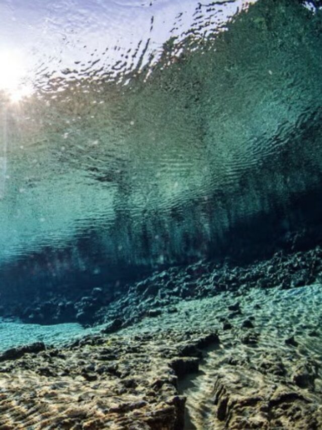 mergulho entre continentes - Xtravel