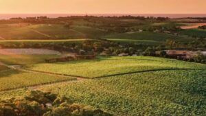 vinícolas na Austrália - Xtravel