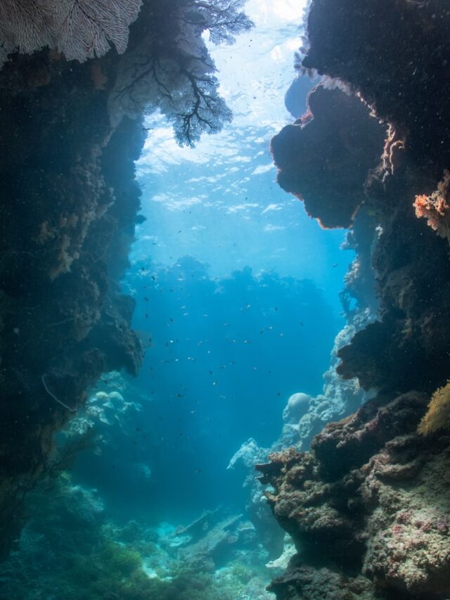 Grande Barreira de Corais – Como é?