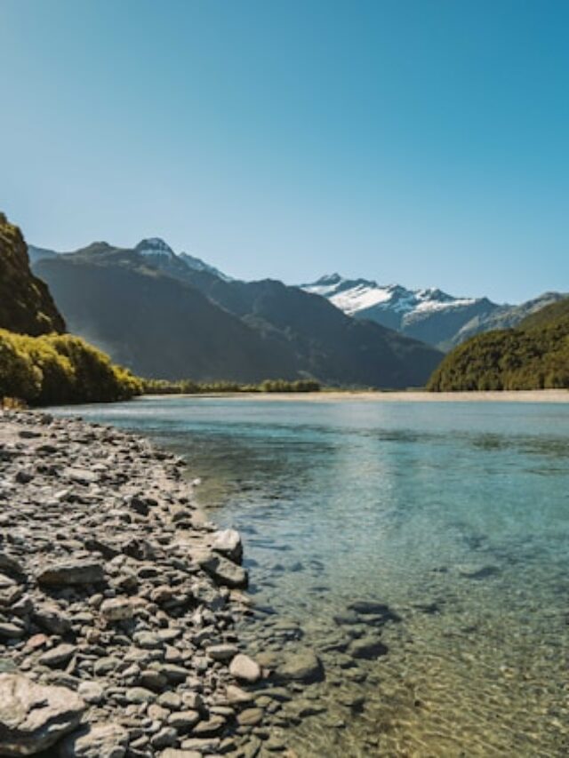 curiosidades Nova Zelândia - Xtravel